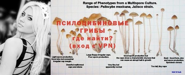 гидропоника Белокуриха